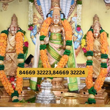 Sacred Dry Fruits Garland for All Deities